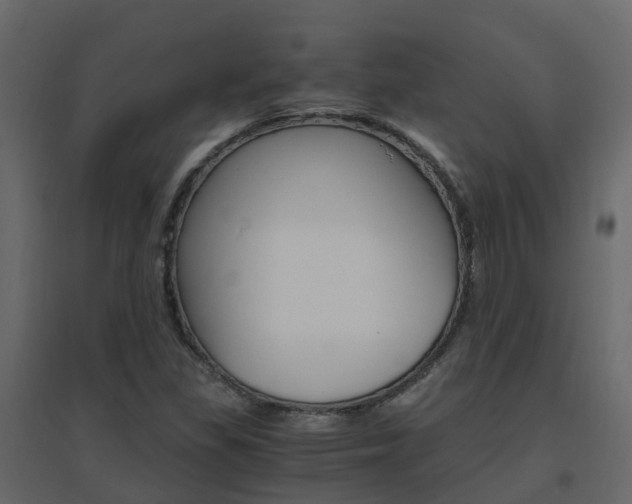 X0000096641309200802050948