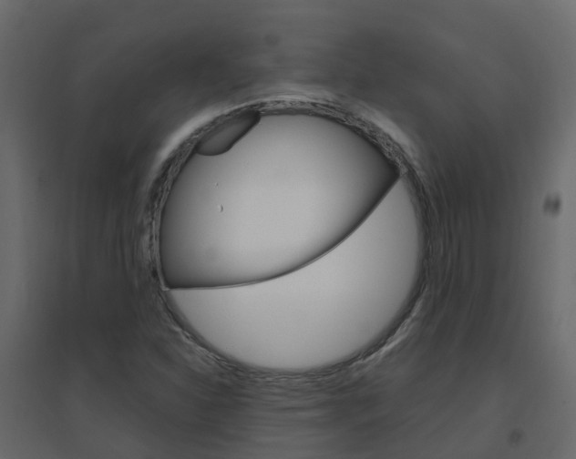 X0000096641310200802050948