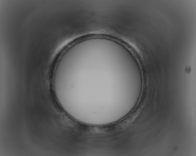 X0000096641311200802050948