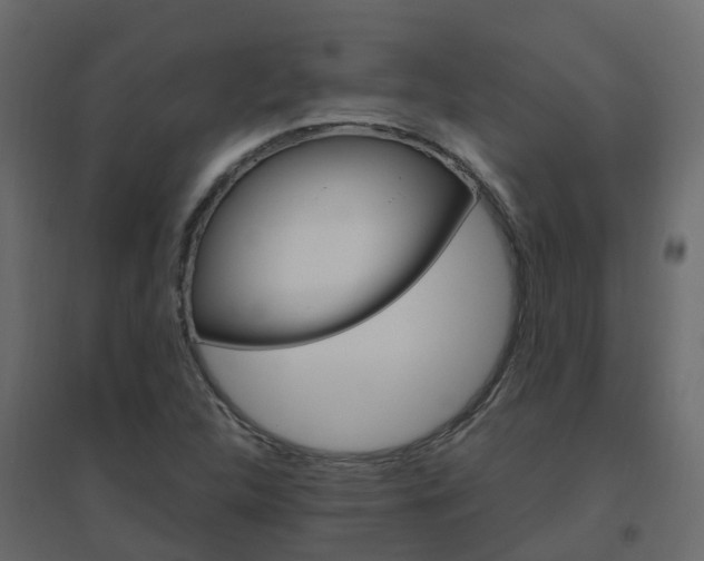 X0000096641312200802050948