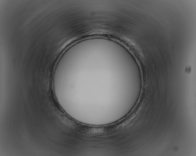 X0000096641313200802050948