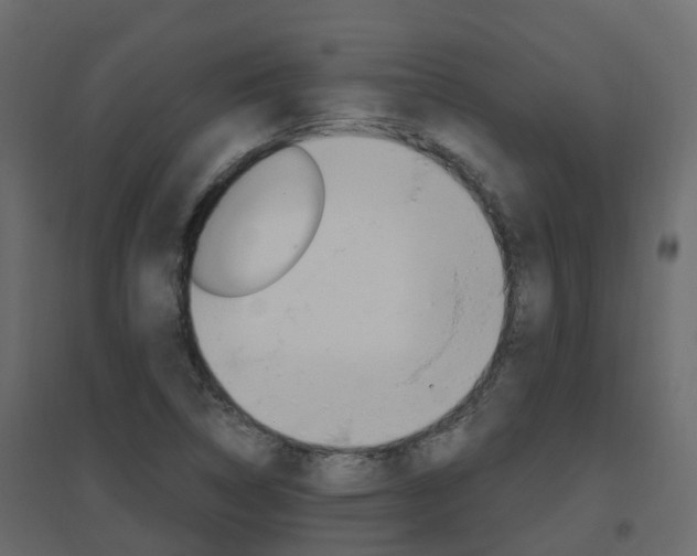 X0000096641314200802050948