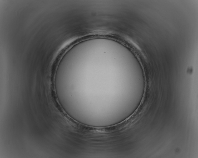 X0000096641315200802050948