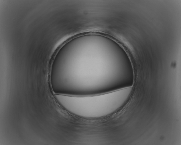 X0000096641316200802050948