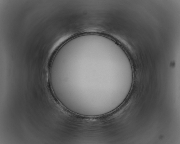 X0000096641317200802050948