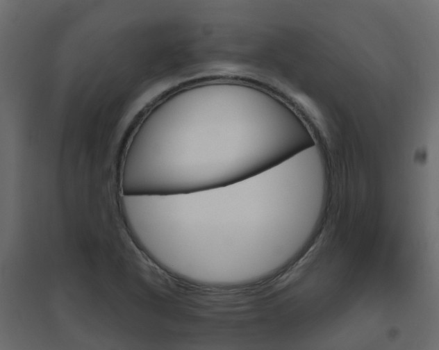 X0000096641318200802050948