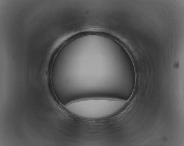 X0000096641319200802050948
