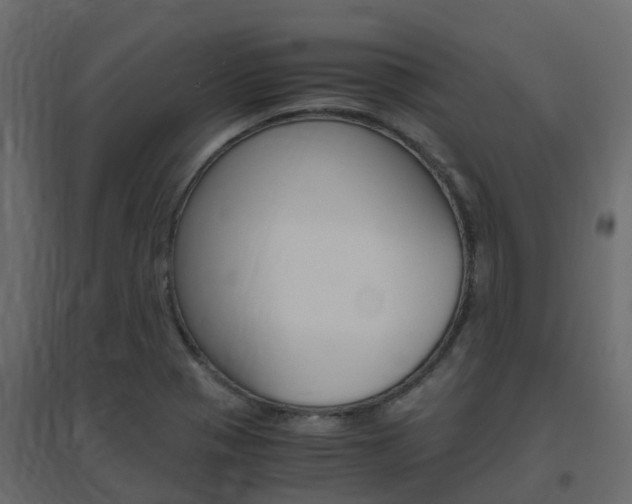 X0000096641321200802050948