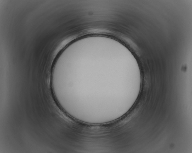 X0000096641322200802050948