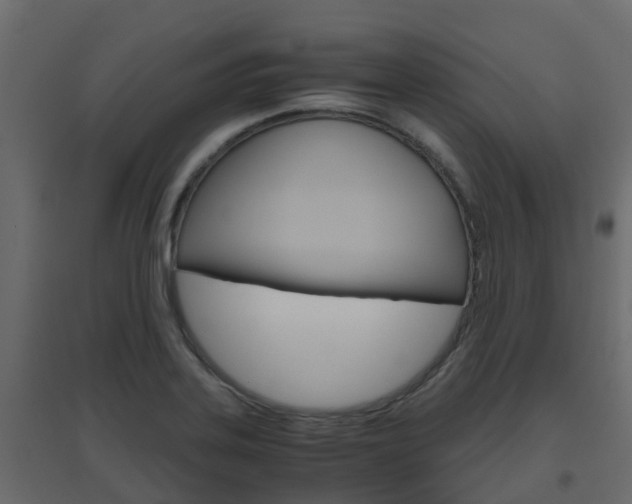 X0000096641323200802050948