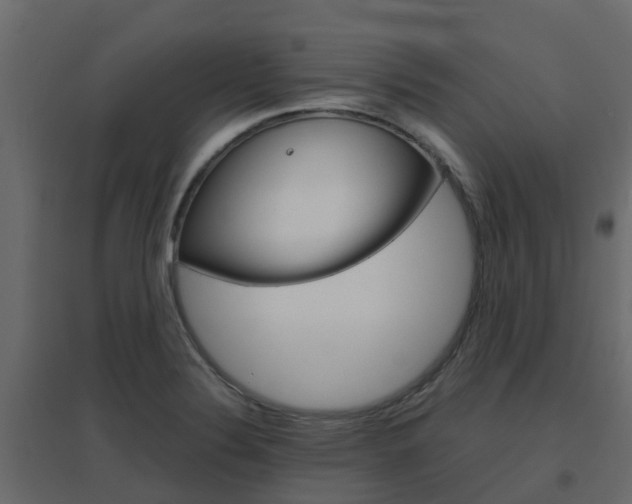 X0000096641324200802050948