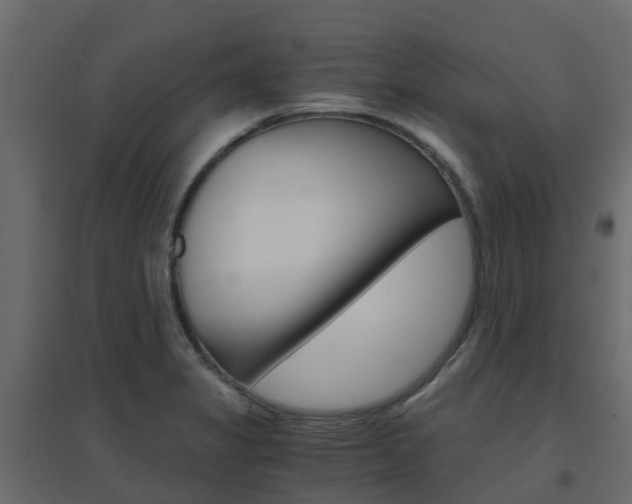 X0000096641325200802050948