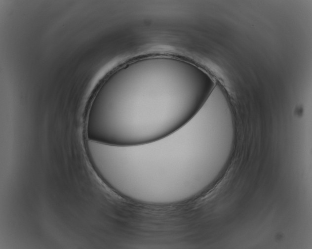 X0000096641326200802050948