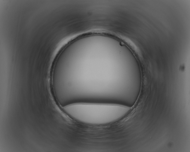 X0000096641327200802050948