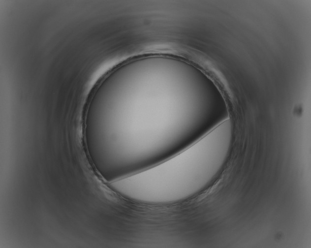 X0000096641328200802050948