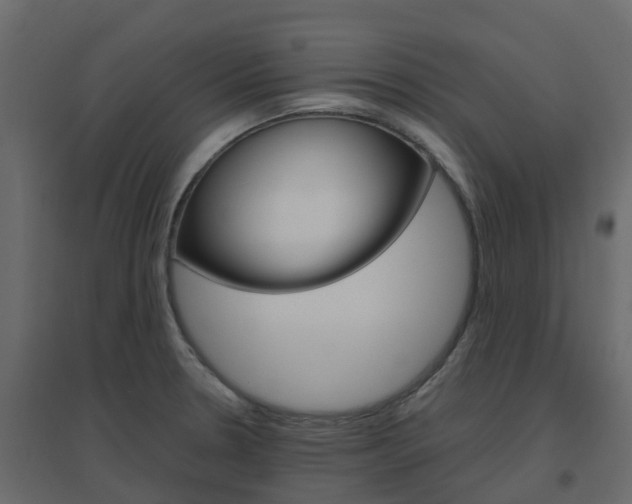 X0000096641330200802050948