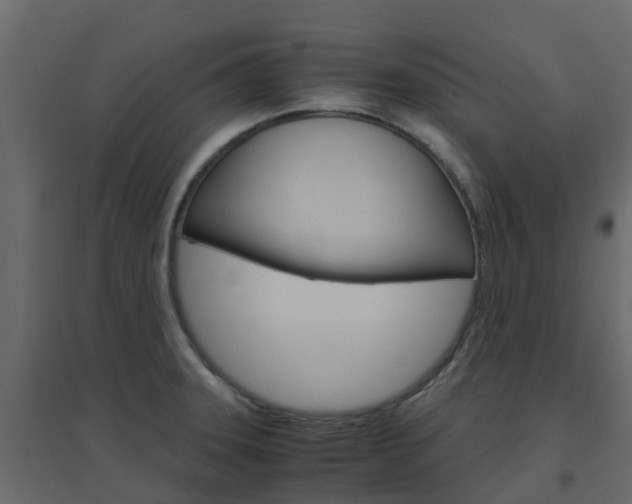 X0000096641331200802050948