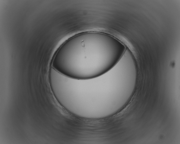X0000096641332200802050948