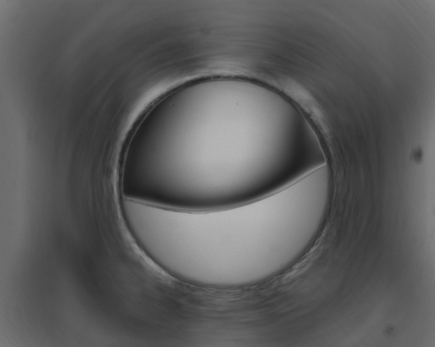 X0000096641334200802050948