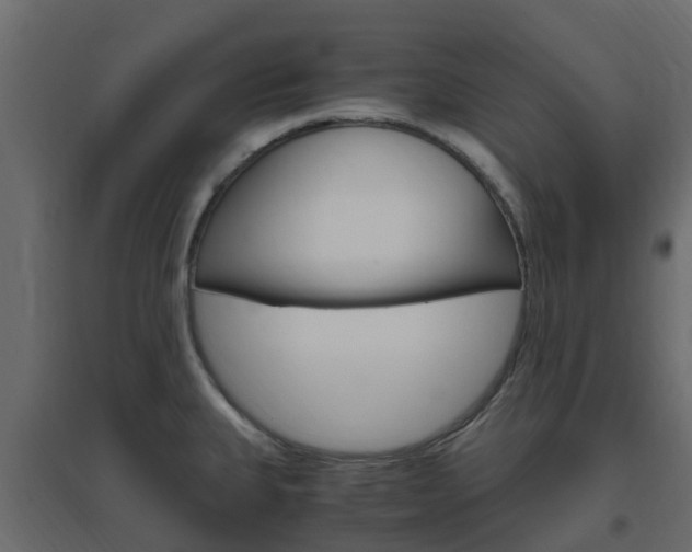 X0000096641335200802050948