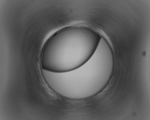 X0000096641336200802050948