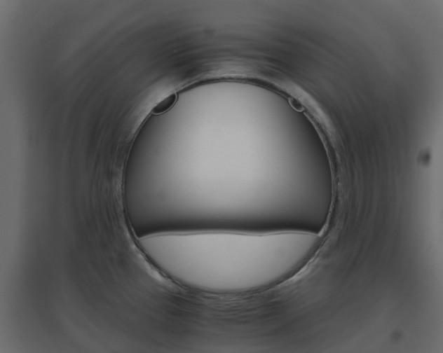 X0000096641337200802050948