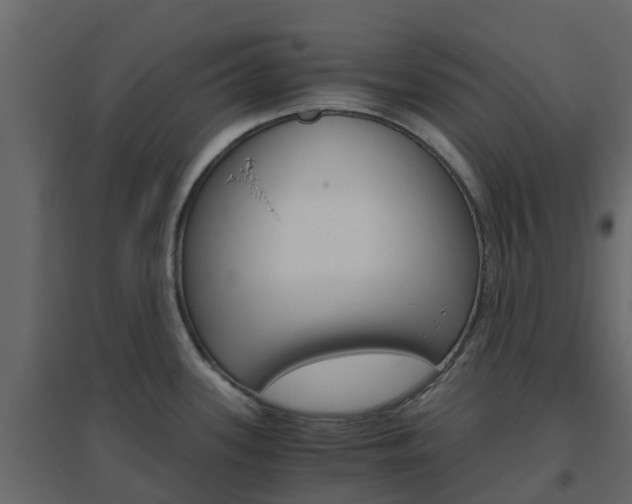 X0000096641339200802050948