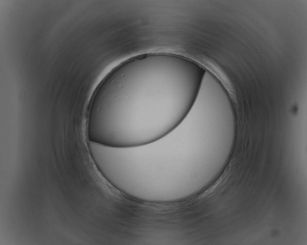 X0000096641340200802050948
