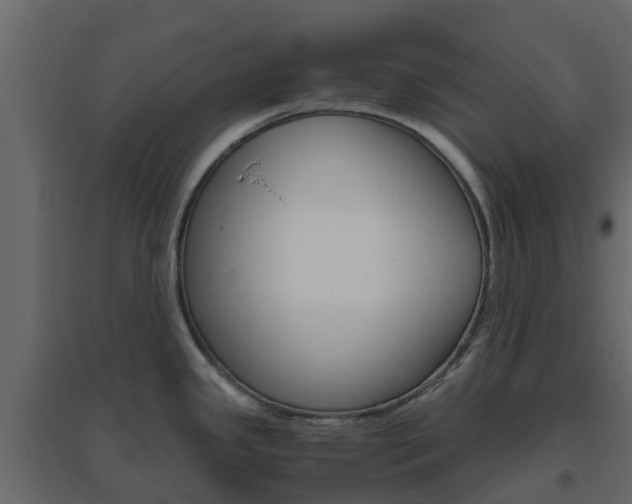 X0000096641341200802050948