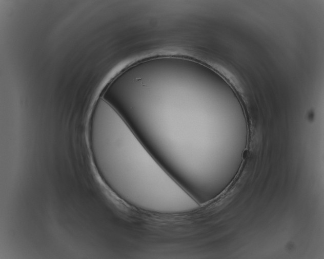 X0000096641342200802050948