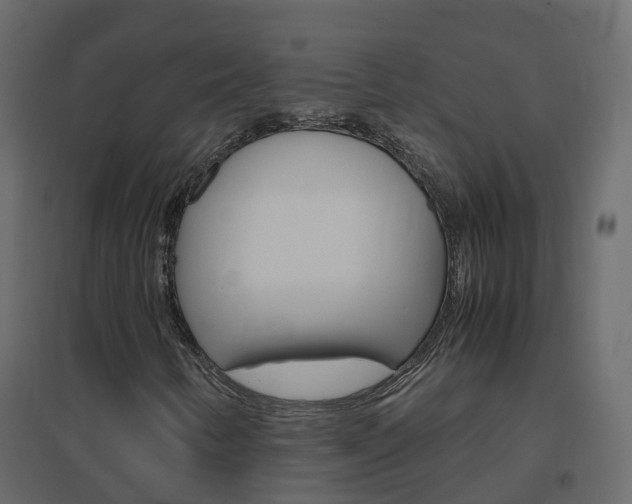 X0000096641346200802050948