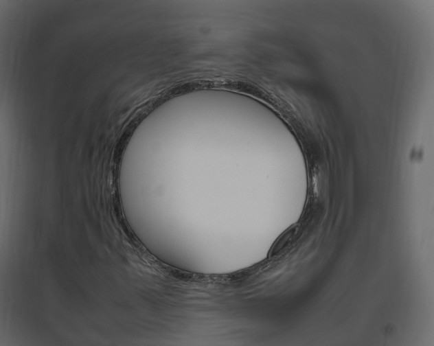 X0000096641347200802050948