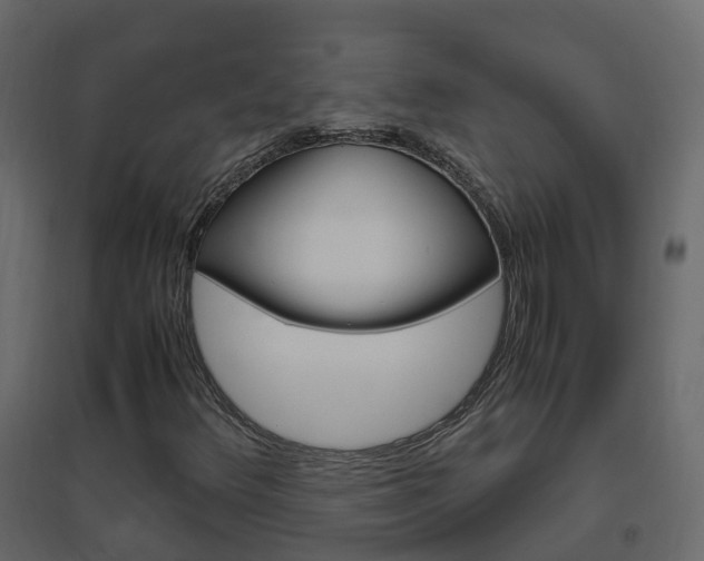 X0000096641348200802050948