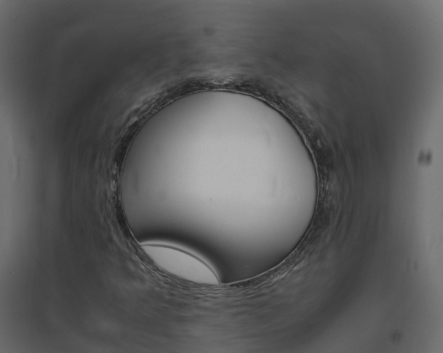 X0000096641349200802050947