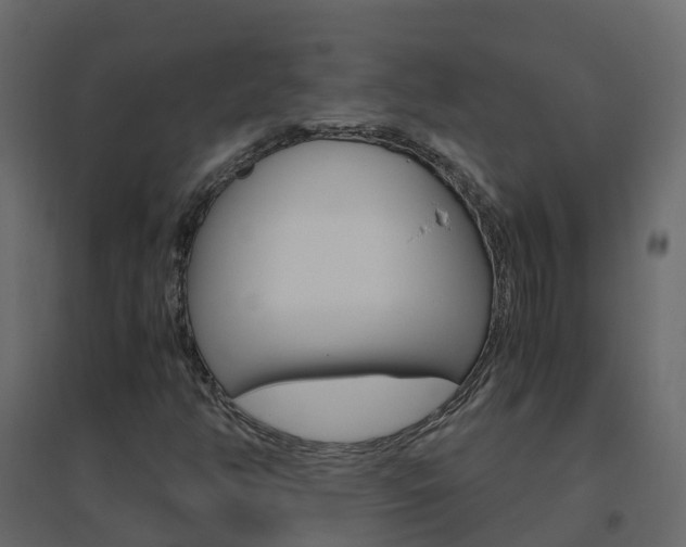 X0000096641350200802050947