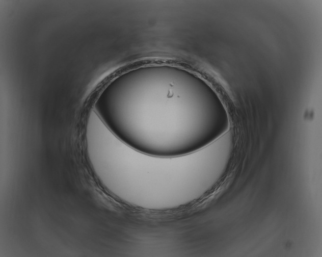 X0000096641352200802050947