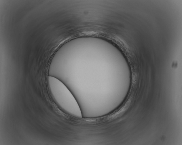 X0000096641353200802050947