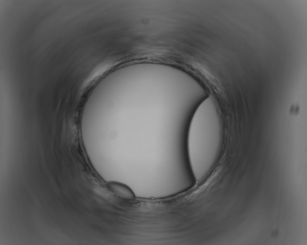 X0000096641354200802050947