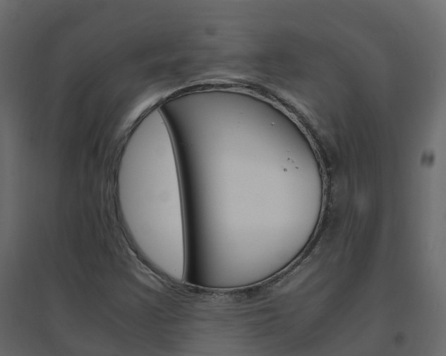 X0000096641355200802050947
