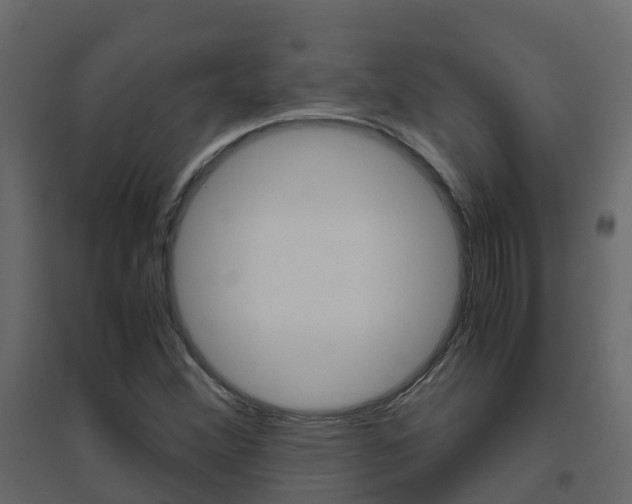 X0000096641356200802050947