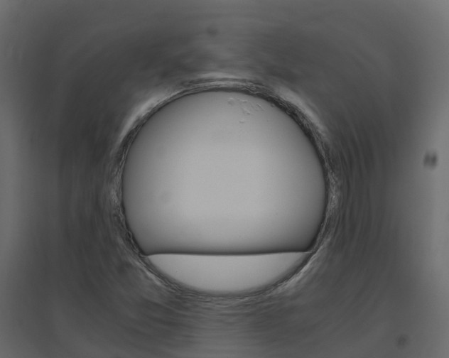 X0000096641357200802050947