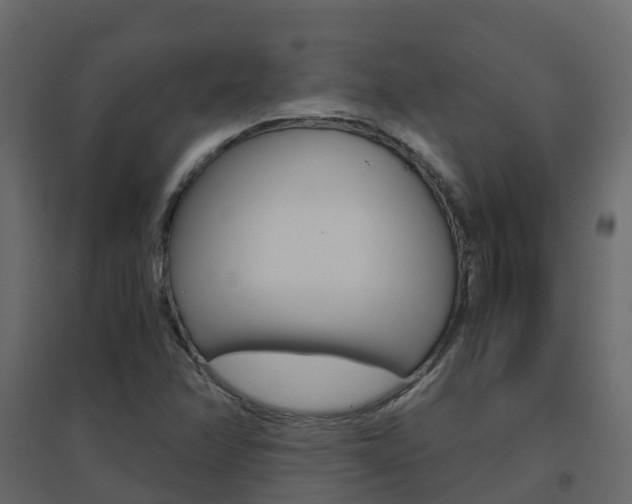 X0000096641358200802050947