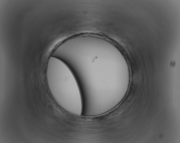 X0000096641359200802050947