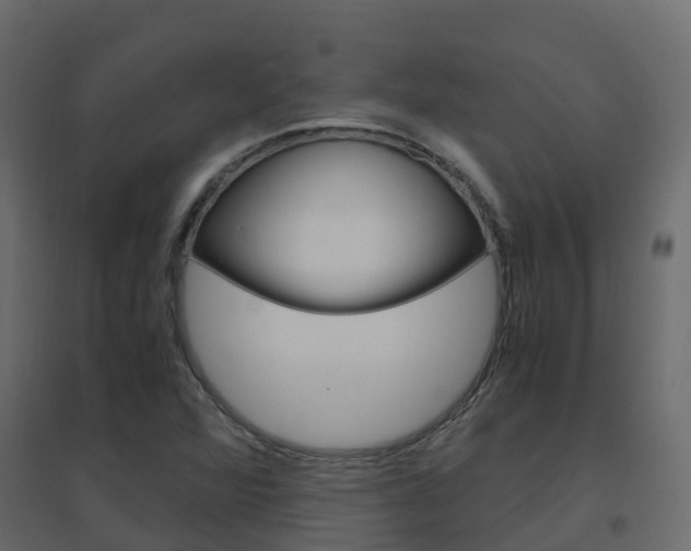 X0000096641360200802050947