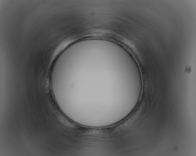 X0000096641362200802050947