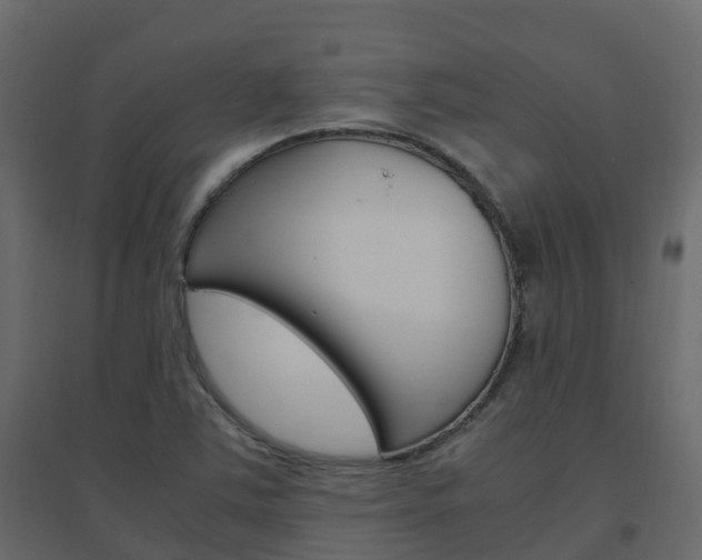 X0000096641363200802050947