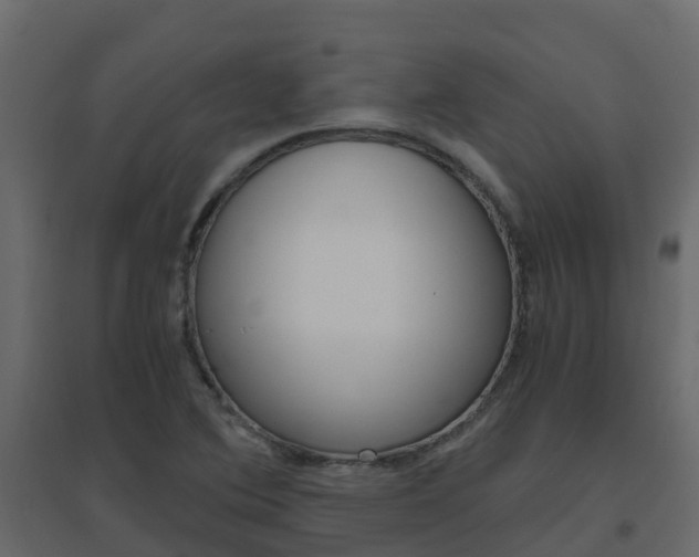 X0000096641364200802050947
