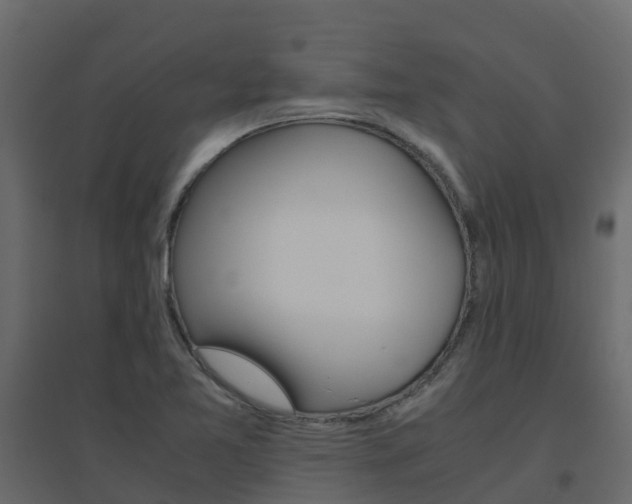 X0000096641365200802050947
