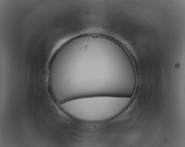 X0000096641366200802050947