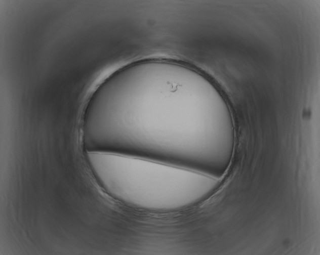 X0000096641367200802050947